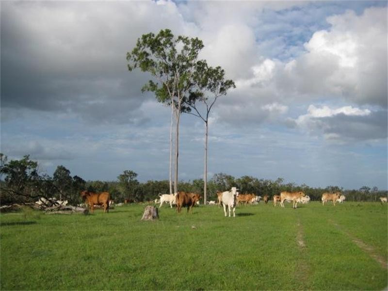 South Isis QLD 4660