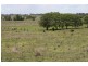 South Kolan QLD 4670
