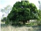 Berajondo QLD 4674