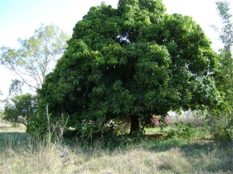 Berajondo QLD 4674