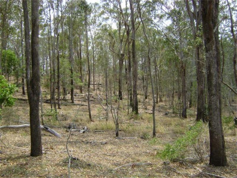 Baffle Creek QLD 4674
