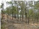 Baffle Creek QLD 4674