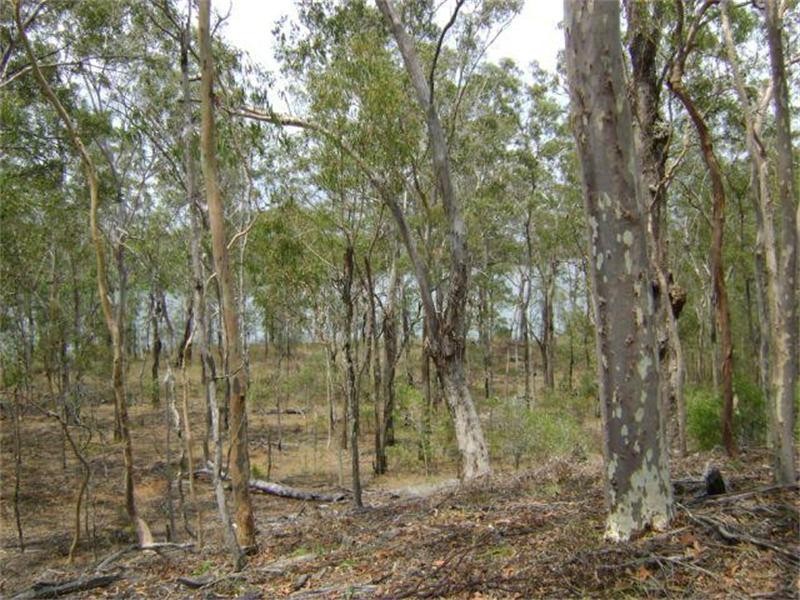 Baffle Creek QLD 4674