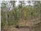 Baffle Creek QLD 4674