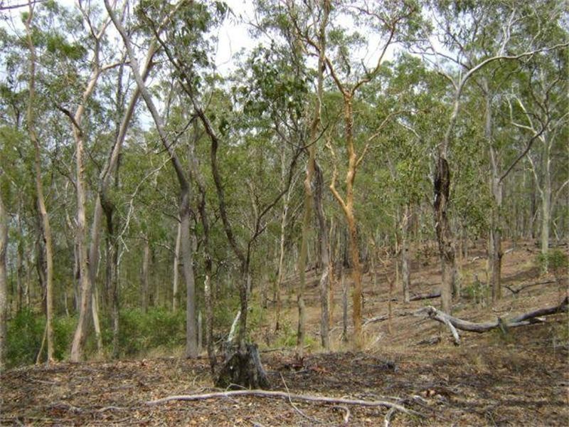Baffle Creek QLD 4674