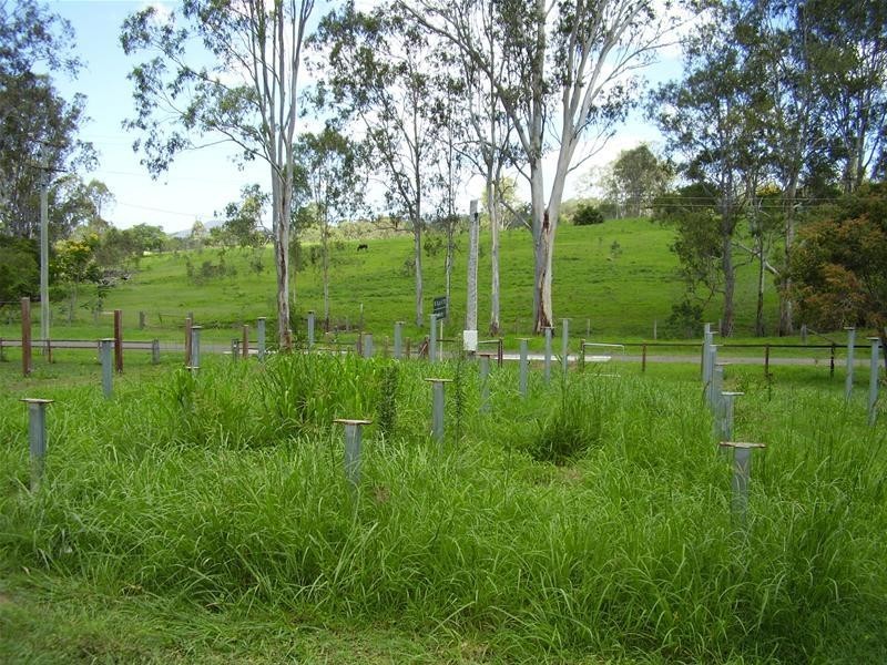 Lowmead QLD 4676