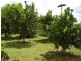 Yandaran QLD 4673