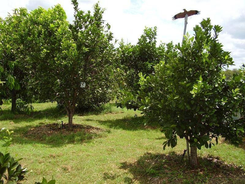 Yandaran QLD 4673