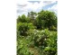Yandaran QLD 4673