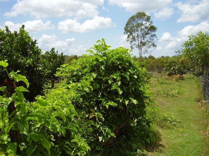 Yandaran QLD 4673