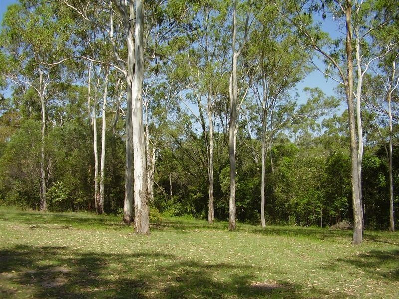 Mullett Creek QLD 4670