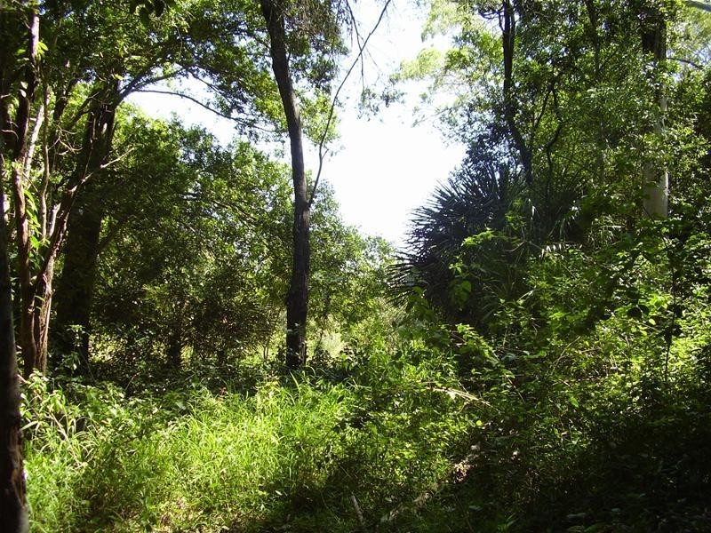 Mullett Creek QLD 4670