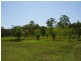 Mullett Creek QLD 4670