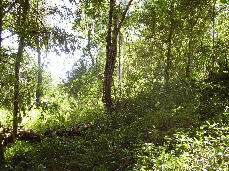 Mullett Creek QLD 4670