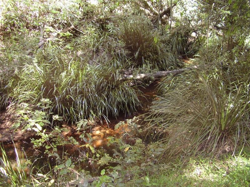 Mullett Creek QLD 4670