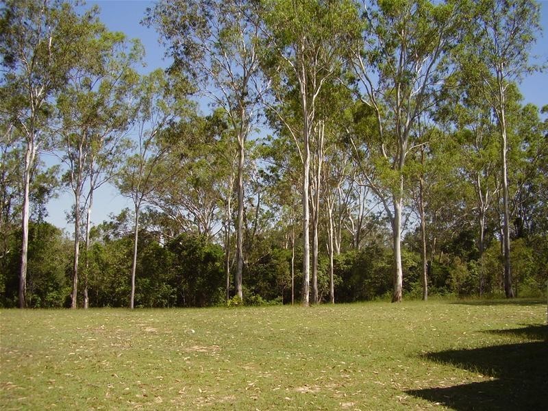 Mullett Creek QLD 4670