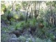 Deepwater QLD 4674