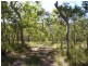 Deepwater QLD 4674