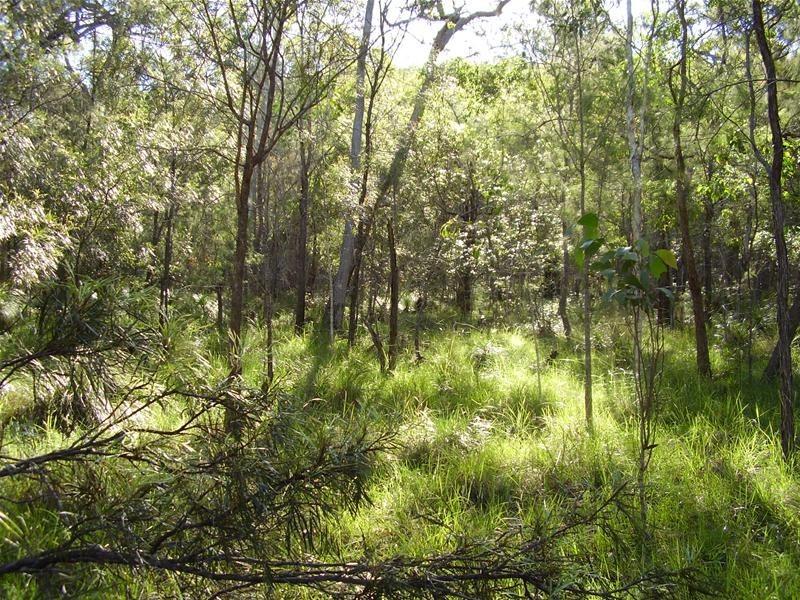 Deepwater QLD 4674