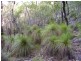 Deepwater QLD 4674