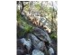 Deepwater QLD 4674