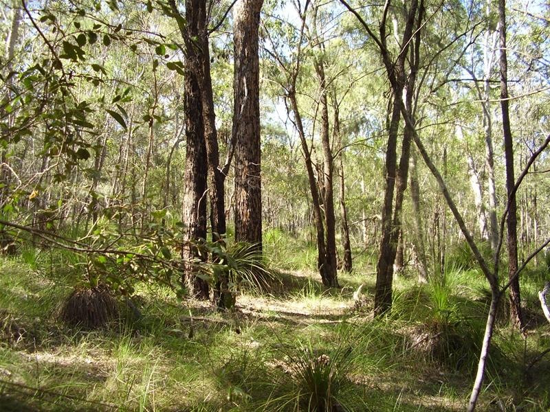 Deepwater QLD 4674