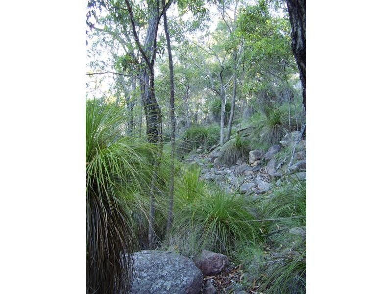 Deepwater QLD 4674