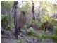 Deepwater QLD 4674