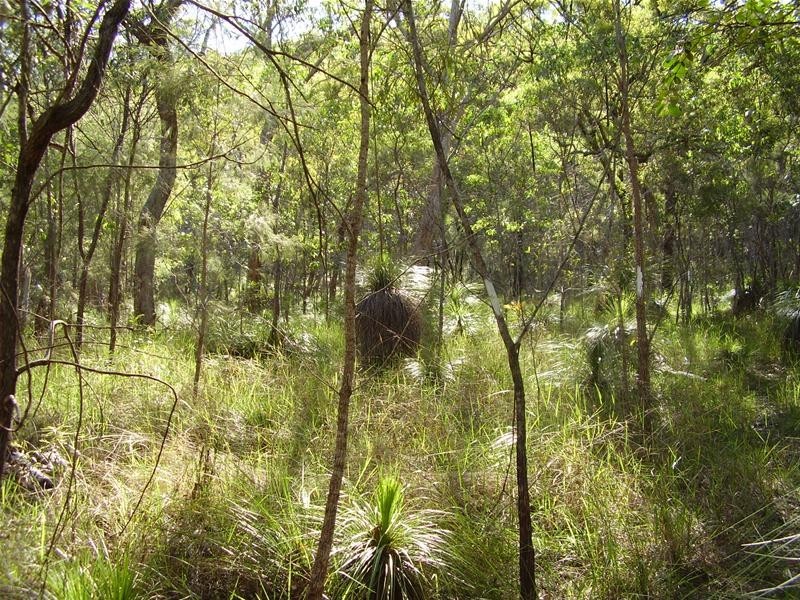 Deepwater QLD 4674