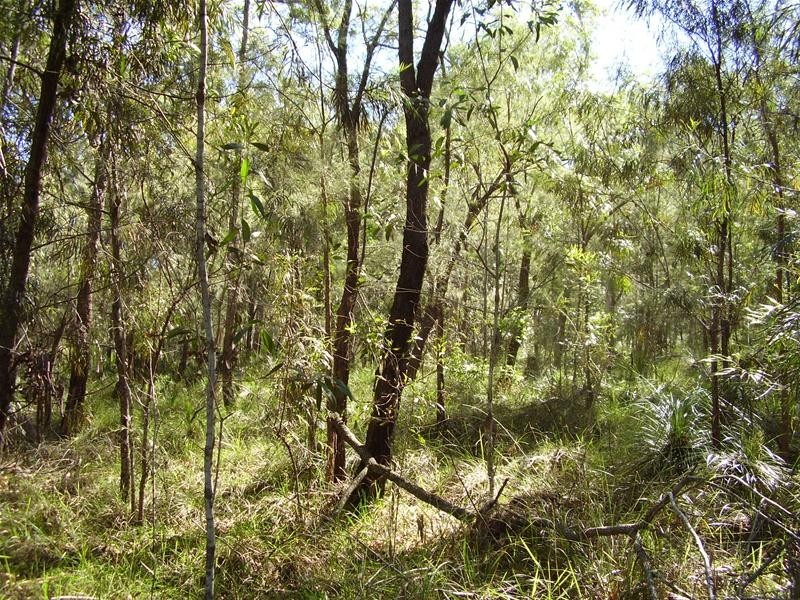 Deepwater QLD 4674