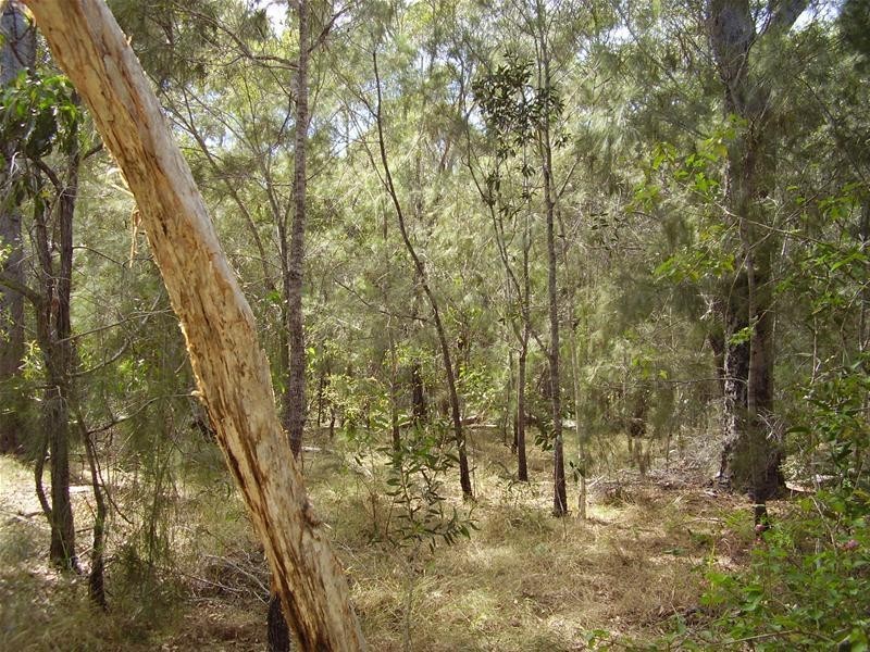 Baffle Creek QLD 4674