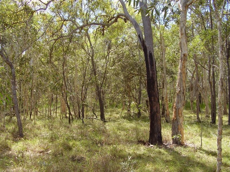 Baffle Creek QLD 4674