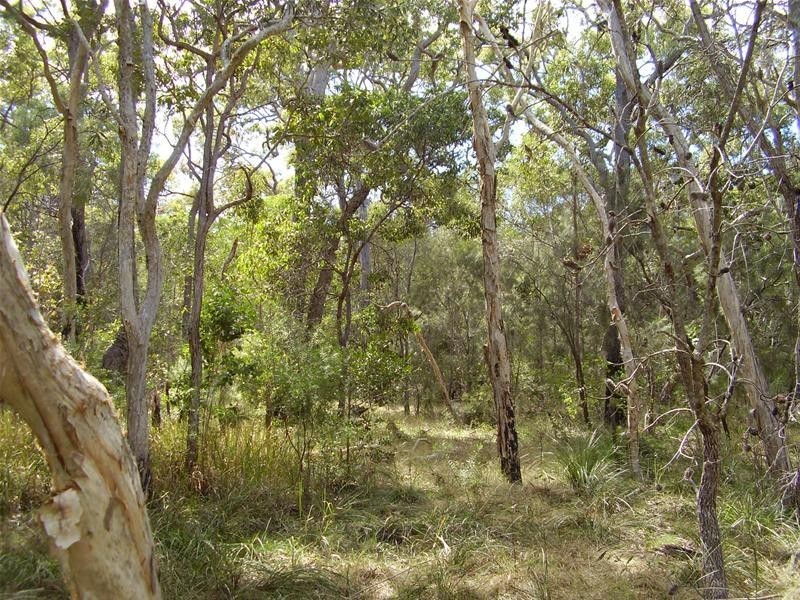 Baffle Creek QLD 4674