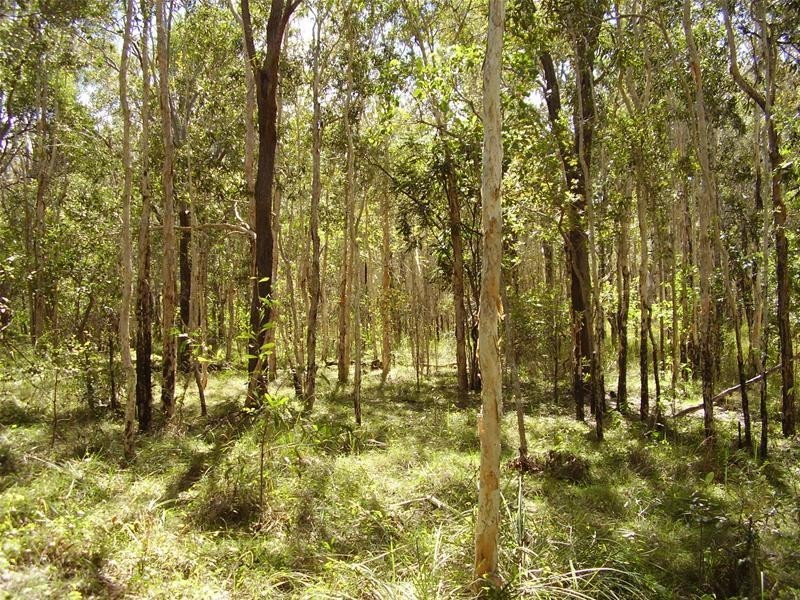 Baffle Creek QLD 4674