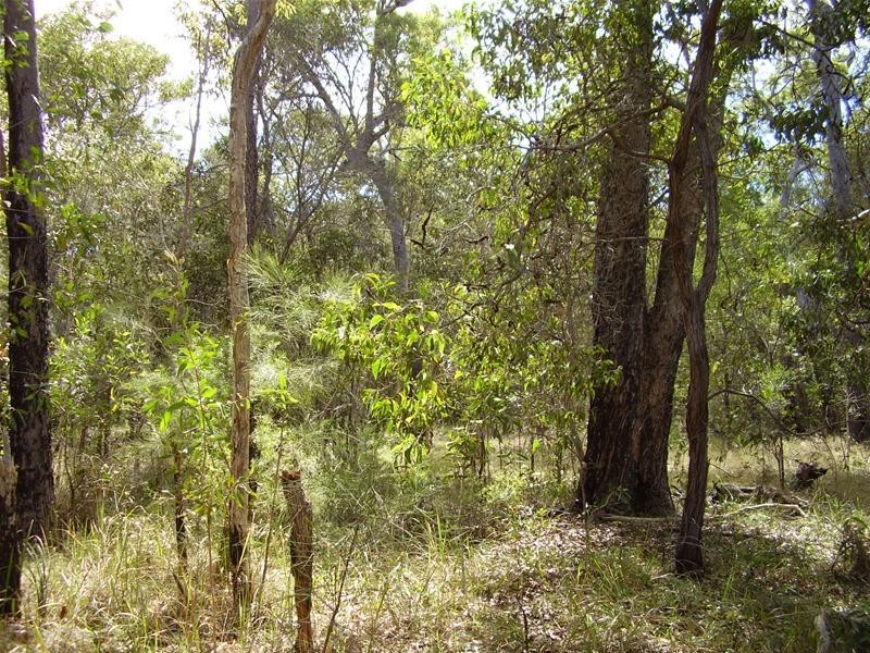 Baffle Creek QLD 4674