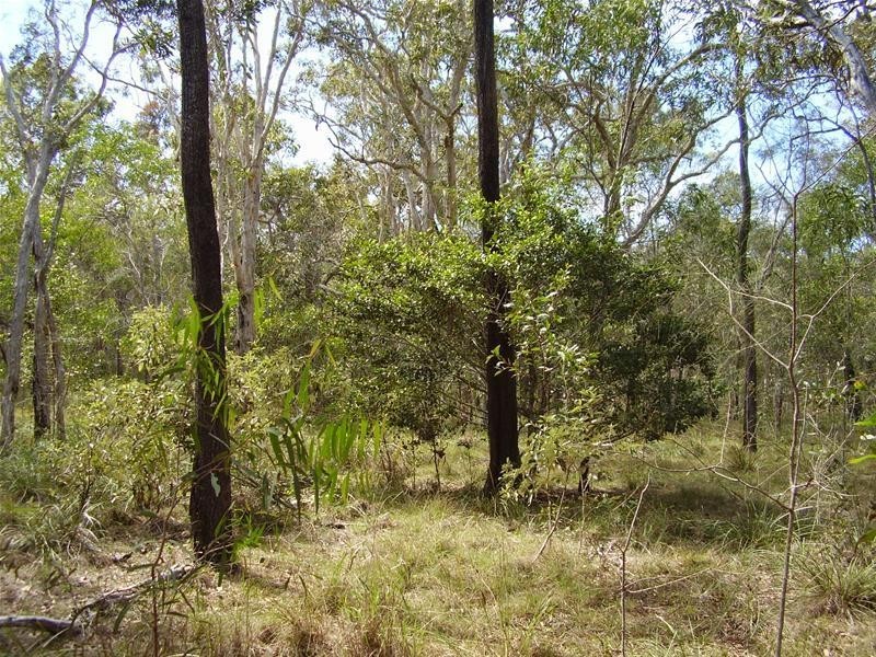 Baffle Creek QLD 4674