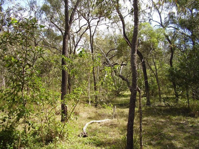 Baffle Creek QLD 4674