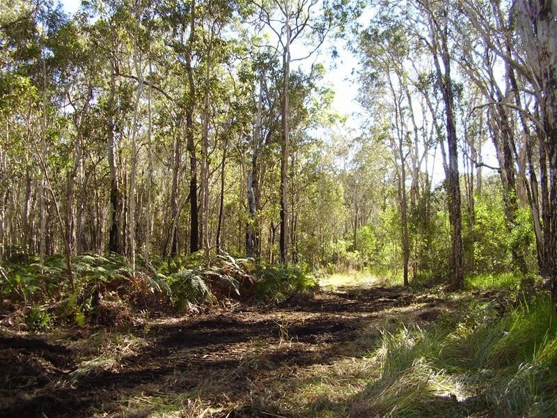 Baffle Creek QLD 4674