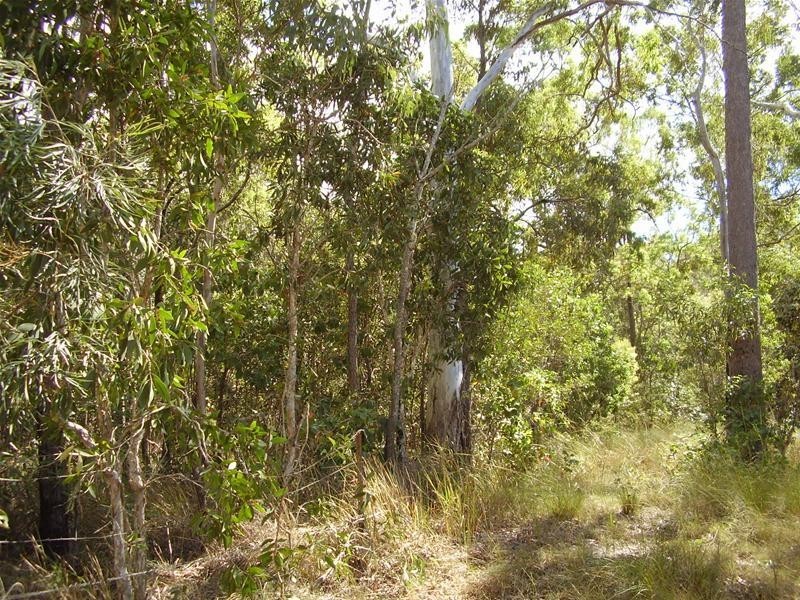 Baffle Creek QLD 4674