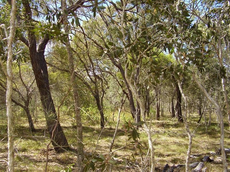 Baffle Creek QLD 4674