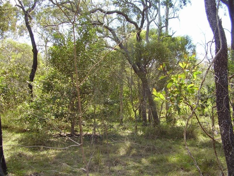 Baffle Creek QLD 4674