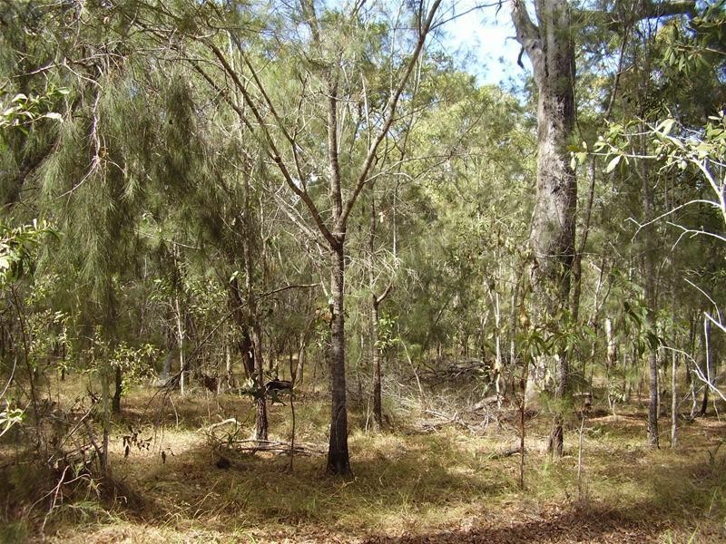 Baffle Creek QLD 4674