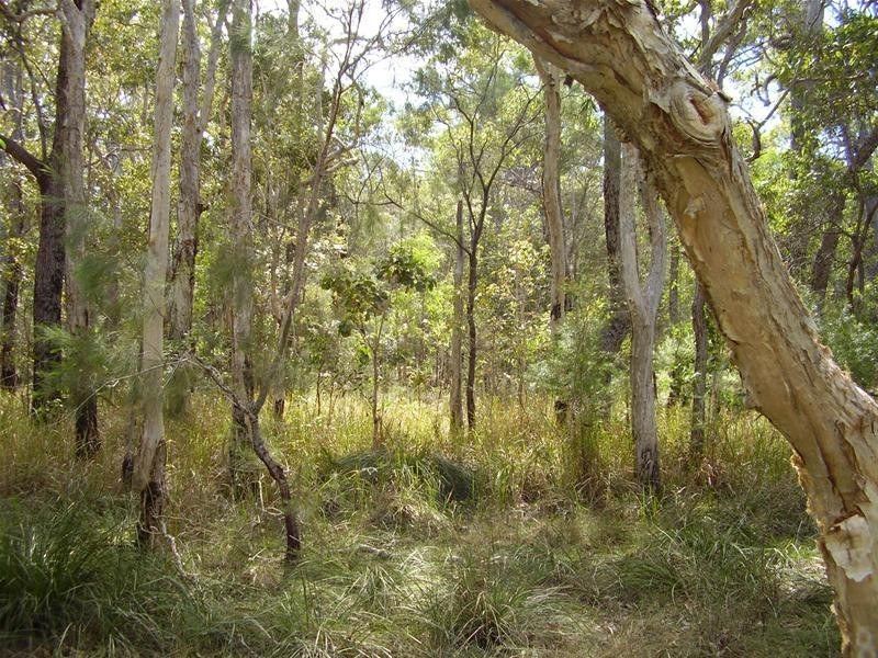 Baffle Creek QLD 4674