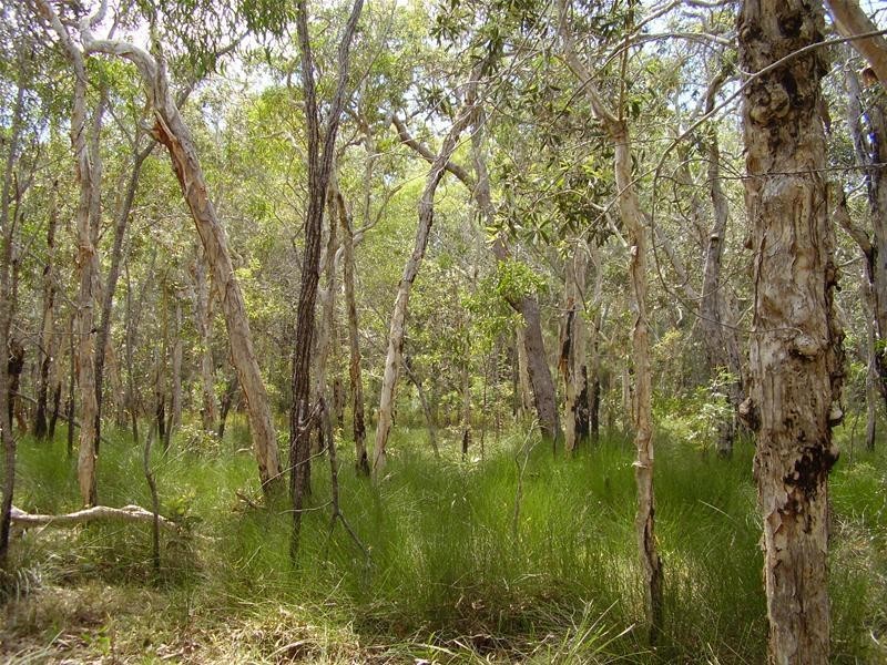 Baffle Creek QLD 4674
