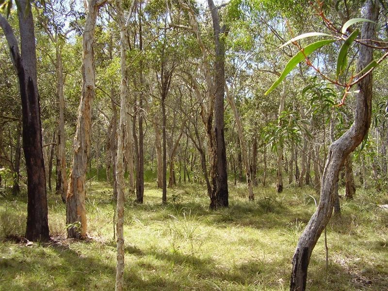 Baffle Creek QLD 4674