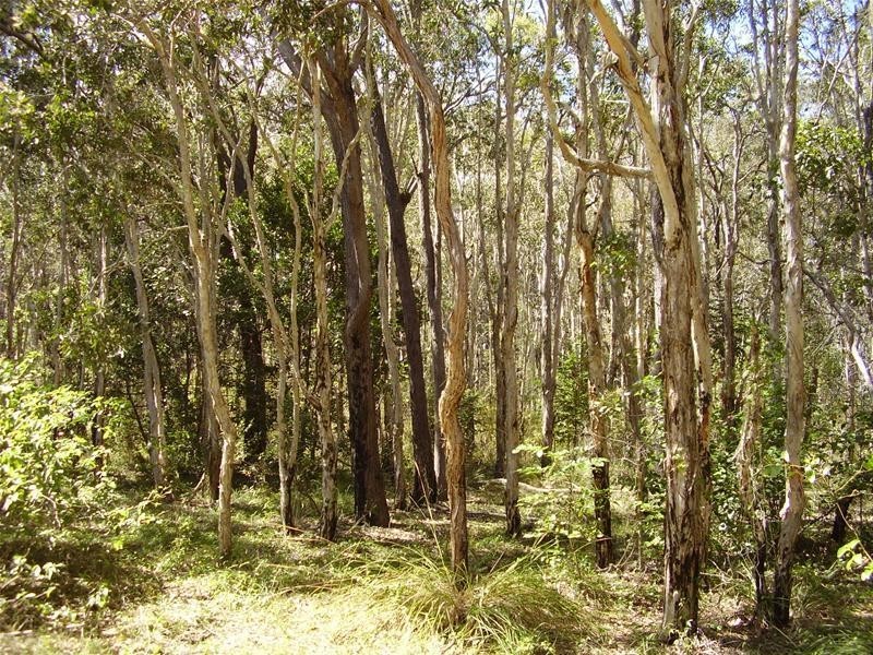 Baffle Creek QLD 4674