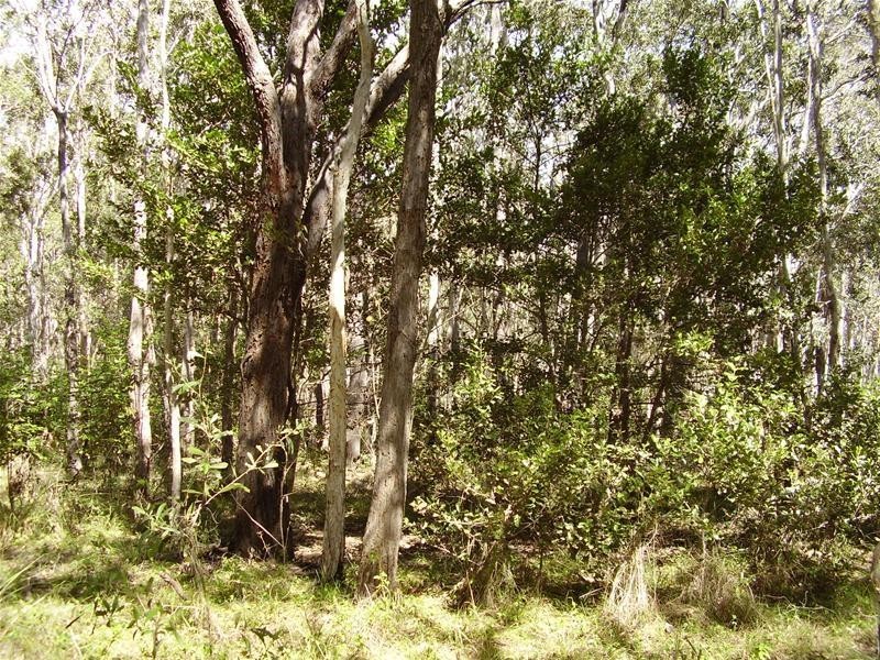 Baffle Creek QLD 4674