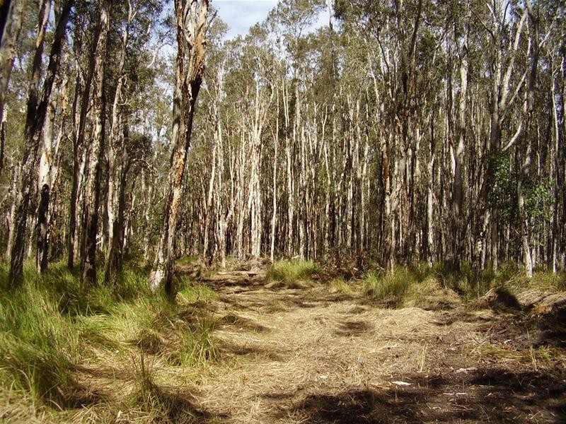 Baffle Creek QLD 4674