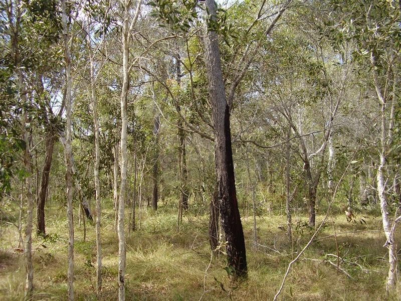 Baffle Creek QLD 4674