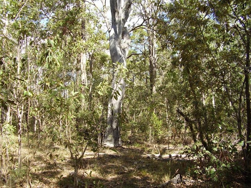 Baffle Creek QLD 4674